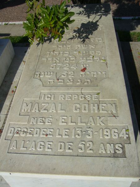 Estela de COHEN Mazal