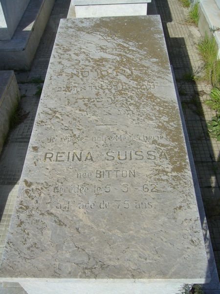 מַצֵּבה פון SUISSA Reina
