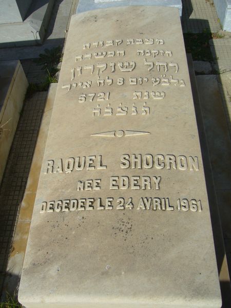 מַצֵּבה פון SHOCRON Raquel