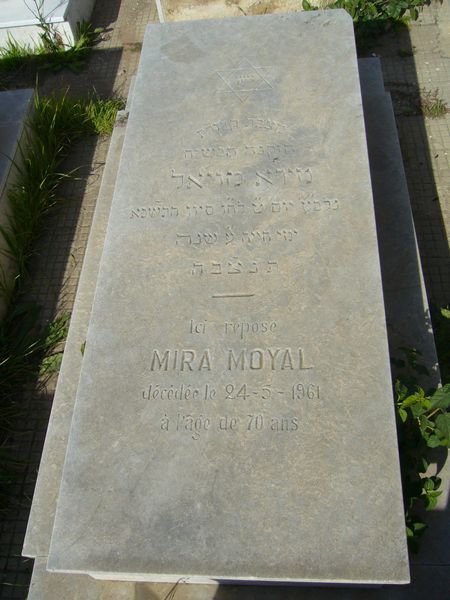 Tombstone of MOYAL Mira