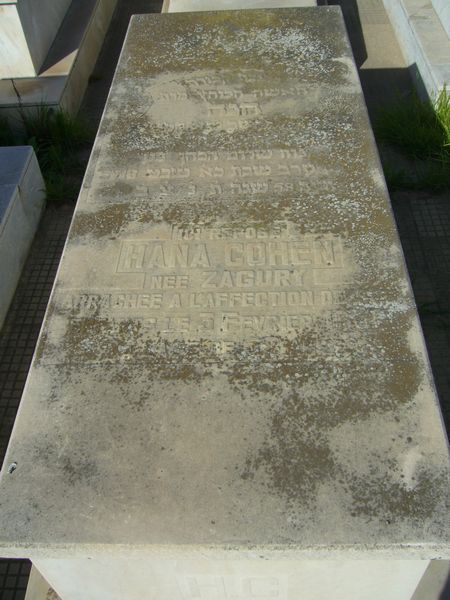 Grabstein von COHEN Hanna