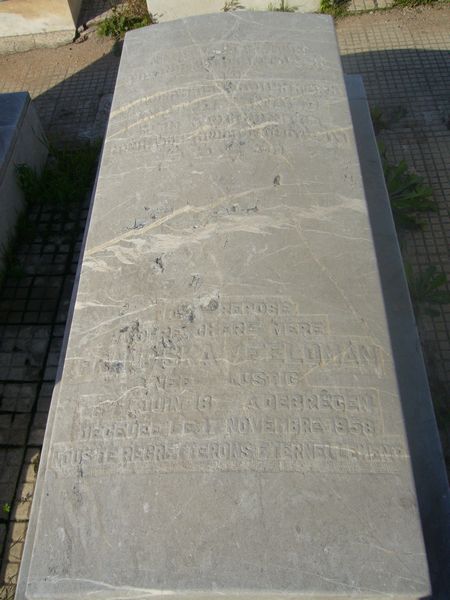 FELDMAN Franciska fejfája