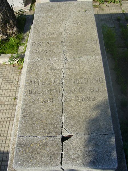מצבת TOLEDANO Allegria