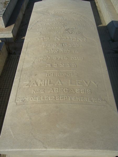 מַצֵּבה פון LEVY Zamila