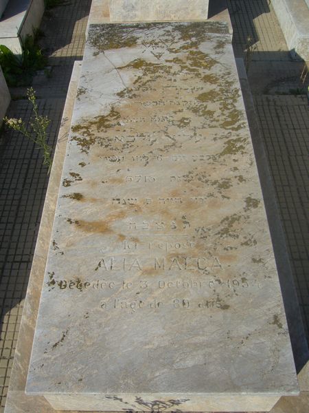 מצבת MALCA Alia