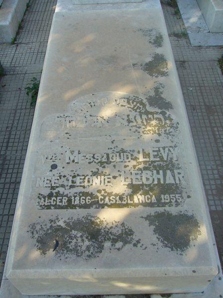 شاهدة قبر LEVY Leonie