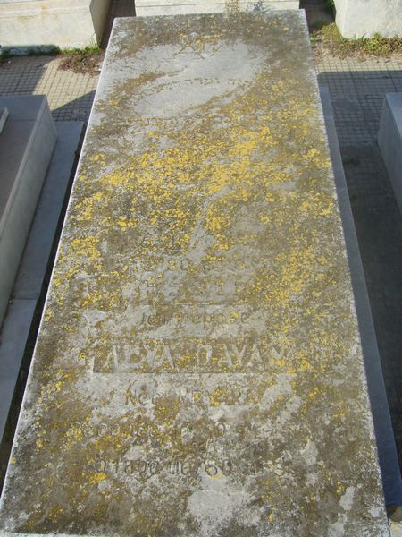 شاهدة قبر DAYAN Alya