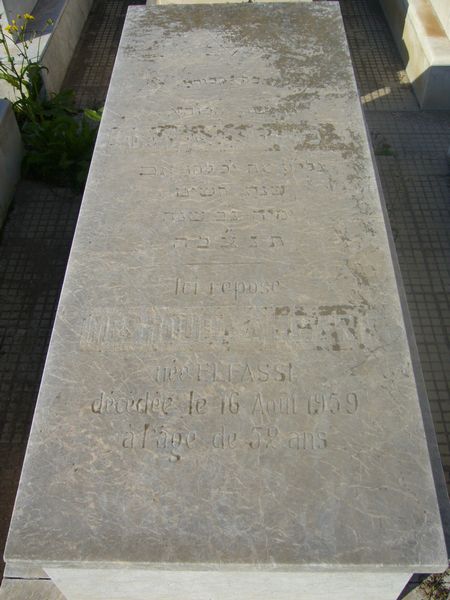 מצבת AMGAR Meshouda
