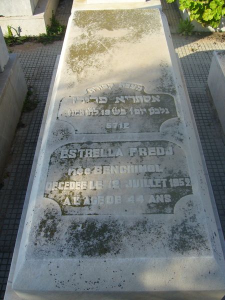 מַצֵּבה פון FREDJ Estrella
