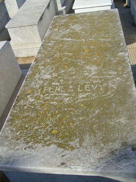 شاهدة قبر LEVY Perla