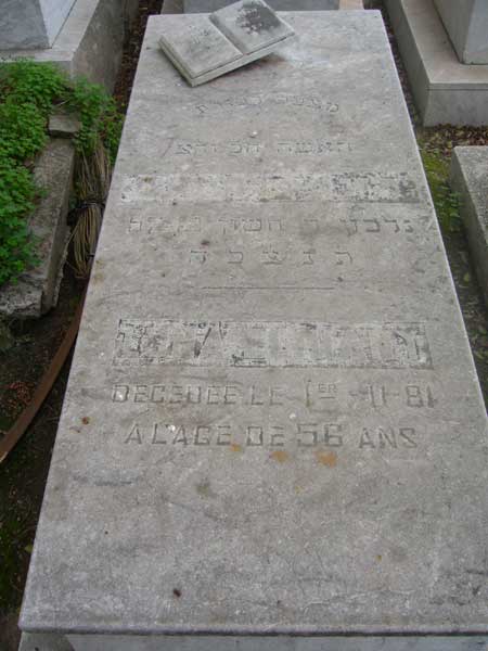 Stèle de ELMIANY Luna