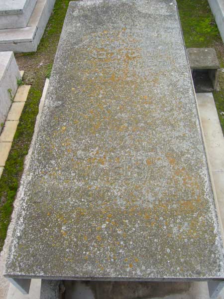 Estela de ELBAZ Sol