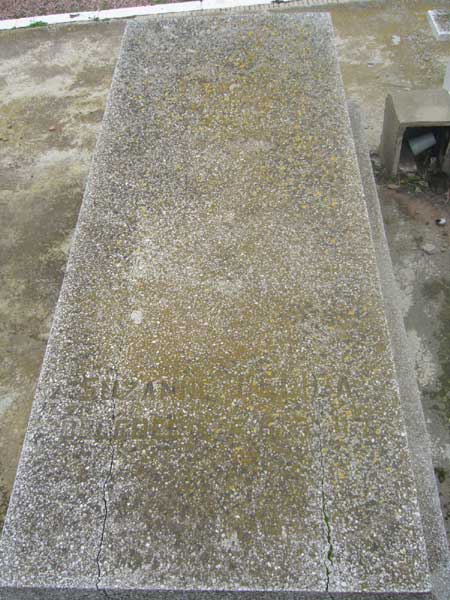 מצבת FEDIDA Suzanne