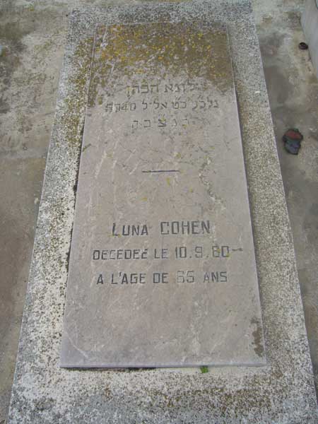 Estela de COHEN Luna