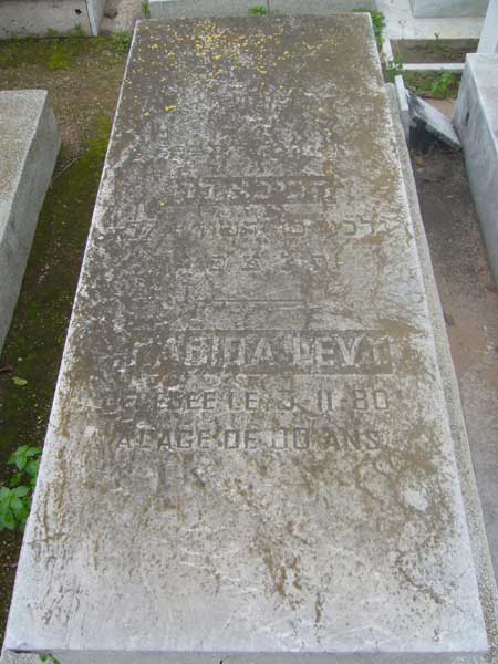 מַצֵּבה פון LEVY Habiba
