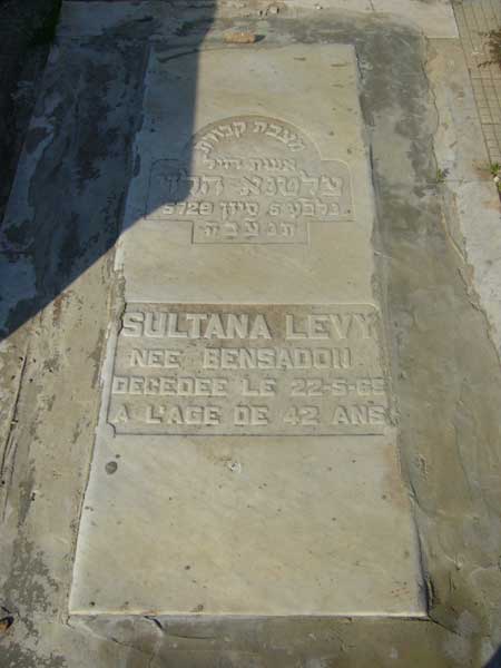 מַצֵּבה פון LEVY Sultana