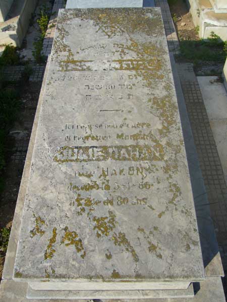 شاهدة قبر DAHAN Julie