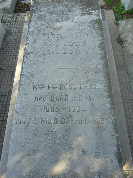 Estela de LEVY Rosa