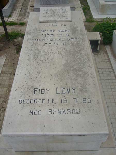 מַצֵּבה פון LEVY Fiby