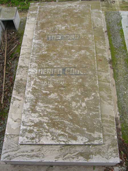 Grafsteen van COHEN Meriem