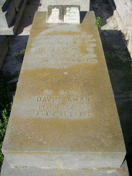 Tombstone of AMAR David