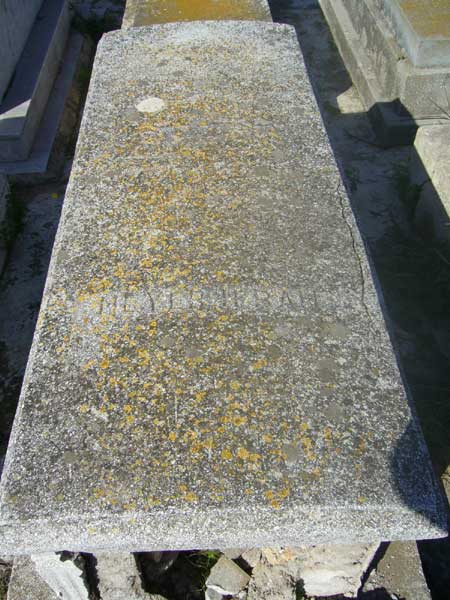 מצבת IFRAH Meyer