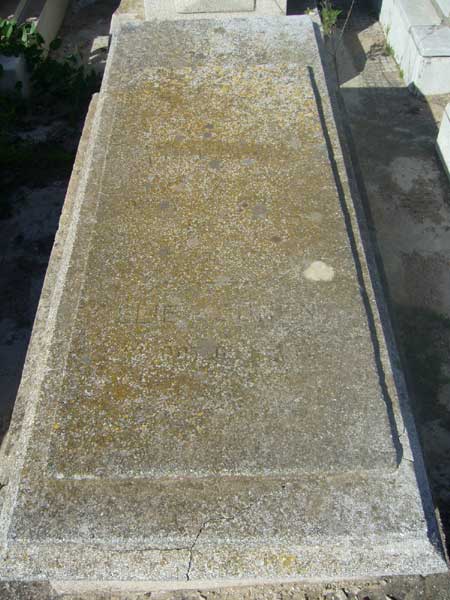 شاهدة قبر COHEN Elie
