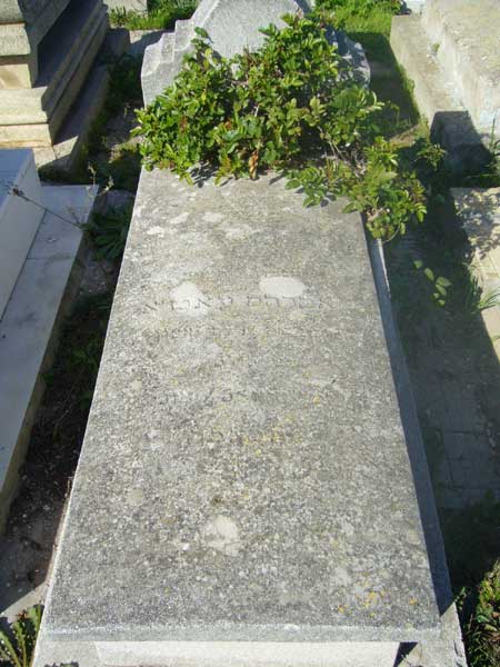 Estela de ATTIA Abraham