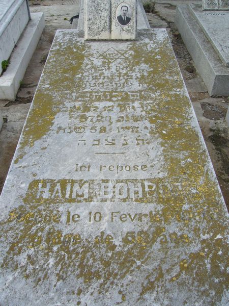 Estela de BOHBOT Haim