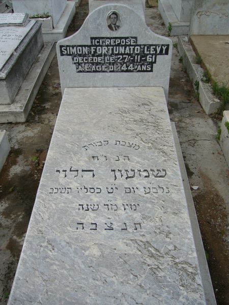 מַצֵּבה פון LEVY Simon Fortunato