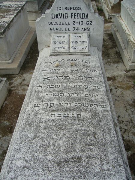 מַצֵּבה פון FEDIDA David