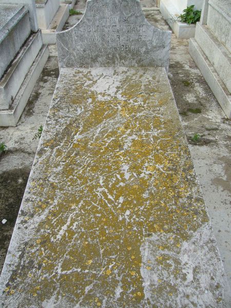 Stèle de GOLDSTEIN Paul