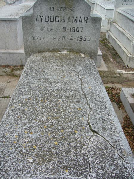 Estela de AMAR Ayouch
