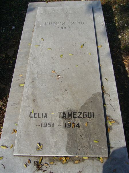מַצֵּבה פון TAMEZGUI Celia