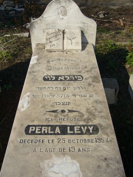 מַצֵּבה פון LEVY Perla