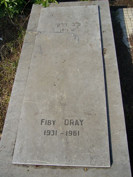 Grafsteen van DRAY Fiby