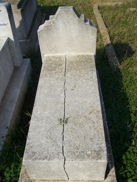 شاهدة قبر DAYAN Mireille