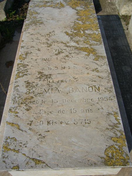 Grabstein von BANON Sylvia