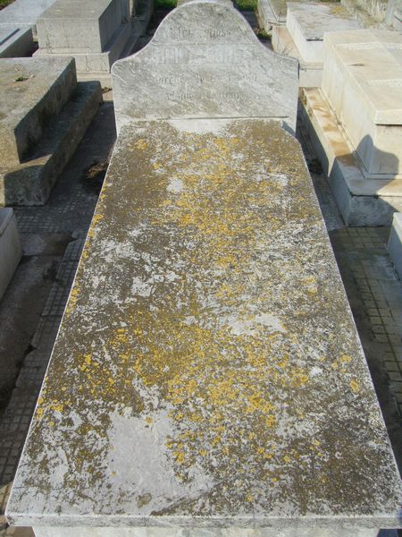 Estela de COHEN Hnina
