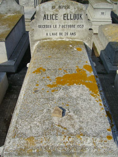 Stèle de ELLOUK Alice