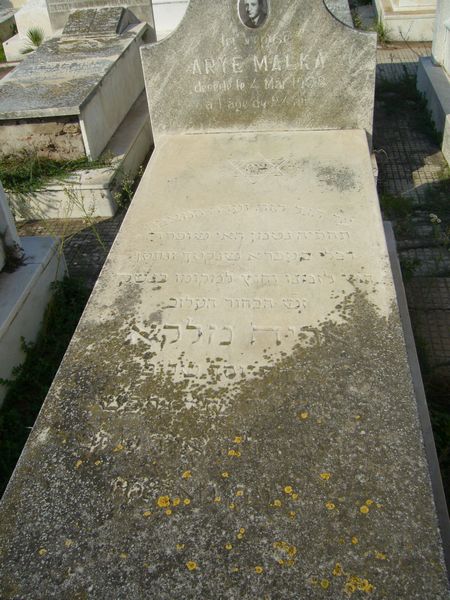 מצבת MALKA Arye