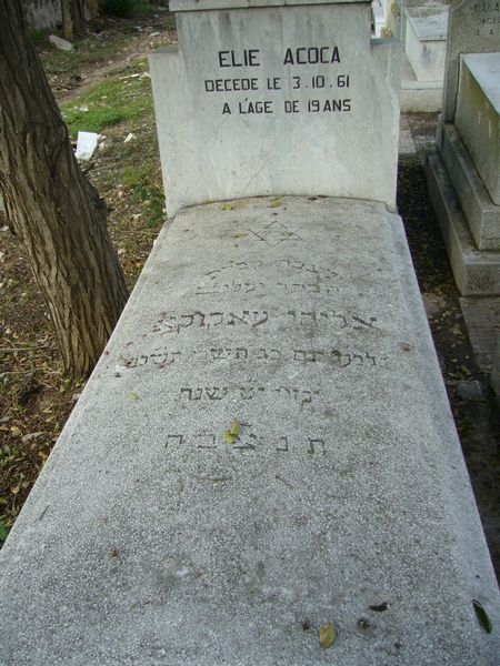 מַצֵּבה פון ACOCA Elie