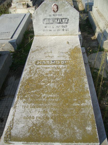 מצבת MALKA Jais