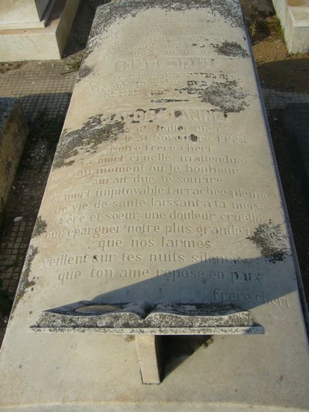 شاهدة قبر DANINO Jacob