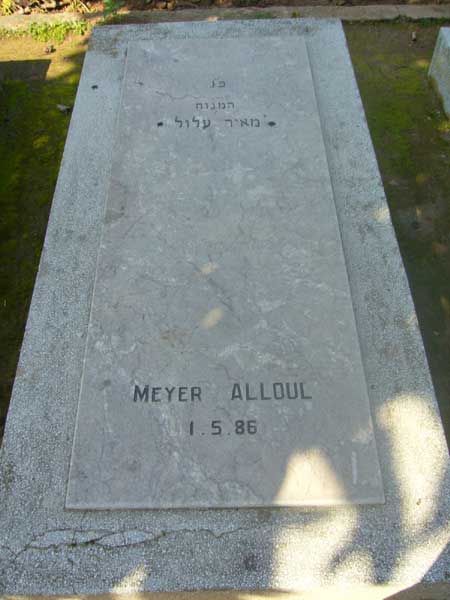 Estela de ALLOUL Meyer