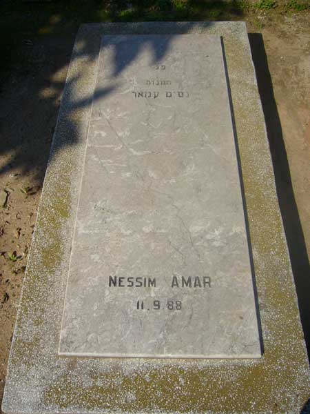 AMAR Nessim 的墓碑
