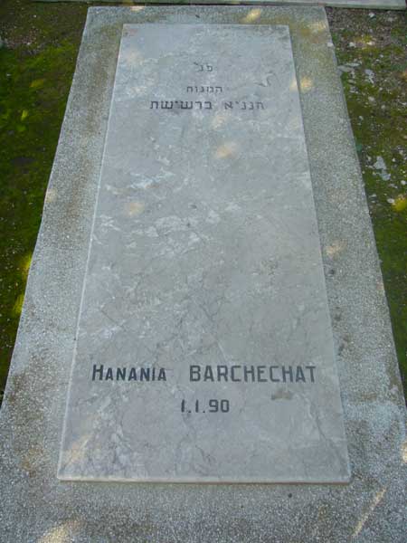 Grabstein von BARCHECHAT Hanania
