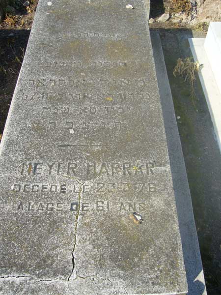 Grafsteen van HARRAR Meyer