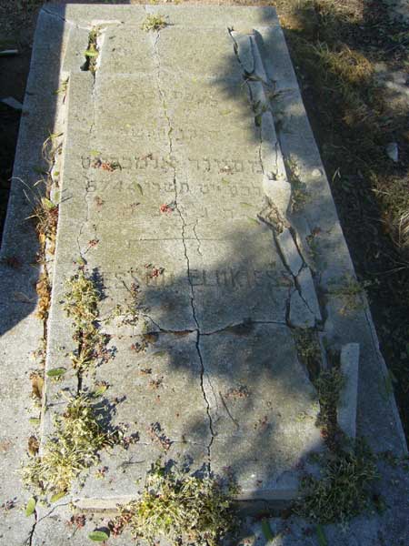 Estela de ELMKIESS Messod