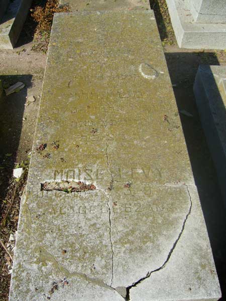 Tombstone of LEVY Moise
